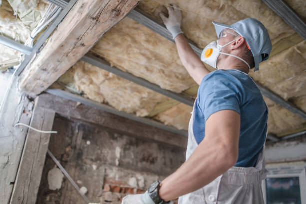 Best Attic Insulation Installation  in South Lebanon, OH