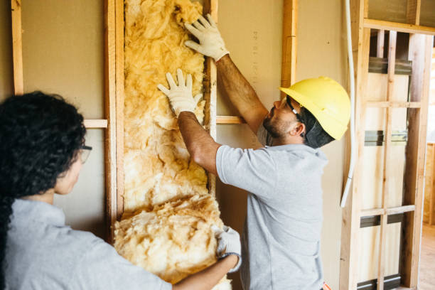 Best Blown-in Insulation  in South Lebanon, OH