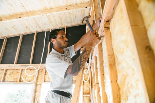 Best Insulation Repair Services  in South Lebanon, OH