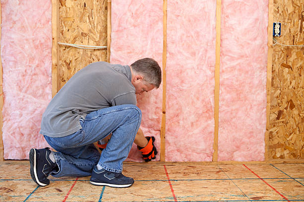 Best Insulation Installation Cost  in South Lebanon, OH