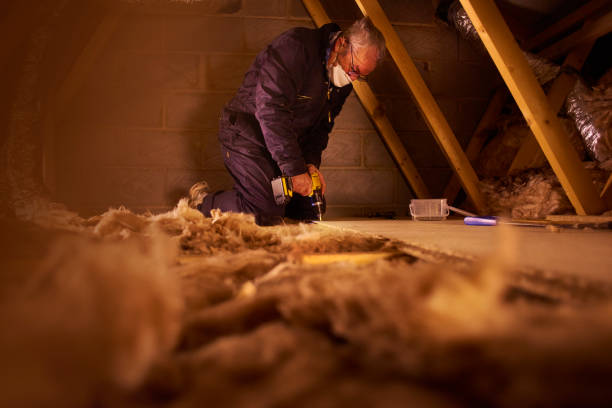 Insulation Replacement Services in South Lebanon, OH